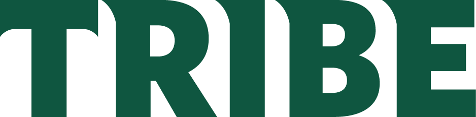 William and Mary Tribe 2018-Pres Wordmark Logo diy iron on heat transfer
